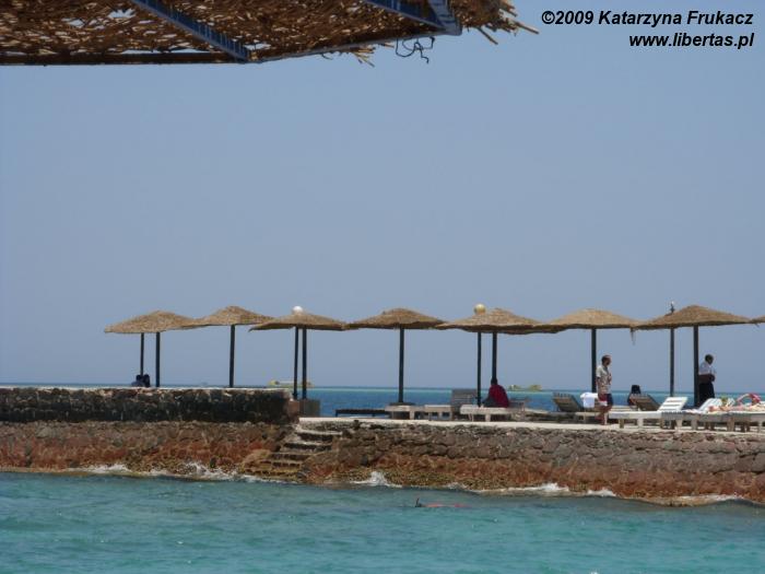 Egipt Hurghada Morze Czerwone ab dzie I Kr liki Podr e Ma e I Egipt Hurghada Morze Czerwone ab dzie I Kr liki Podr e Ma e I