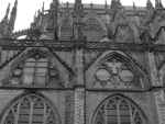 Katedra w Utrechcie2