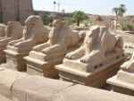 Karnak- aleja baranów