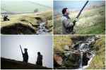Tradycyjne polowanie na bażanty w Yorkshire