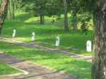 Miejsce pamięci pomordowanych Żydów w zamojskiej Rotundzie