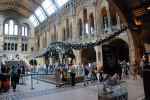 Muzeum Historii Naturalnej / Natural History Museum, Londyn, (Anglia)